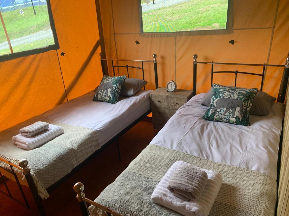 Mountain View Safari Tent With Hot Tub In The Heart Of Snowdonia Dolgellau Exterior foto