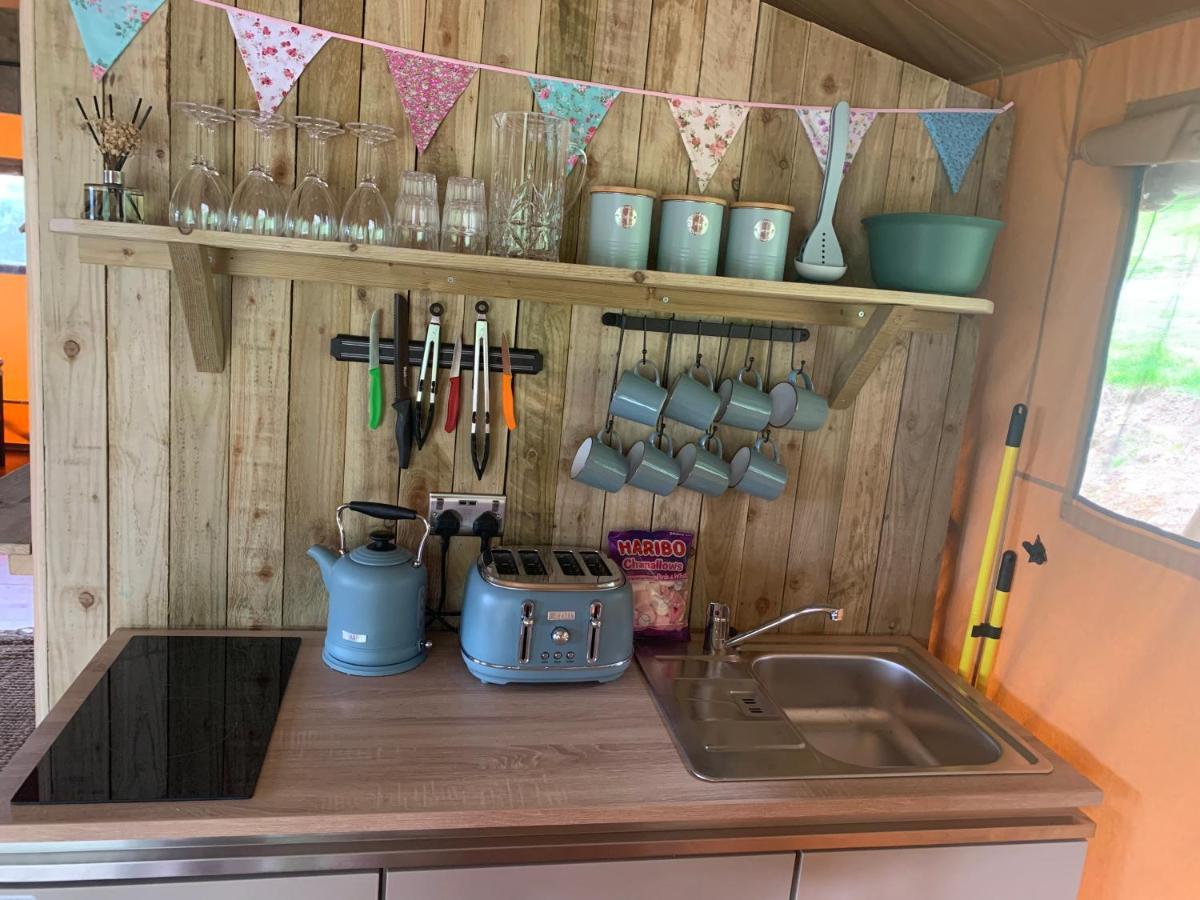 Mountain View Safari Tent With Hot Tub In The Heart Of Snowdonia Dolgellau Exterior foto